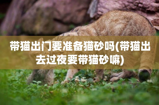帶貓出門要準備貓砂嗎(帶貓出去過夜要帶貓砂嘛)
