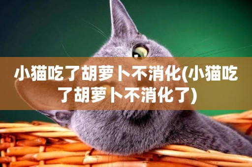 小貓吃了胡蘿卜不消化(小貓吃了胡蘿卜不消化了)