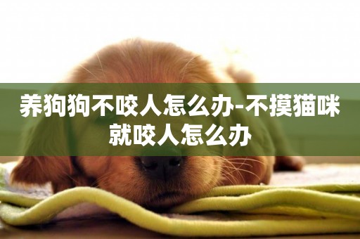 養狗狗不咬人怎么辦-不摸貓咪就咬人怎么辦