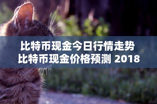 比特幣現金今日行情走勢 比特幣現金價格預測 2018、2019、2020 