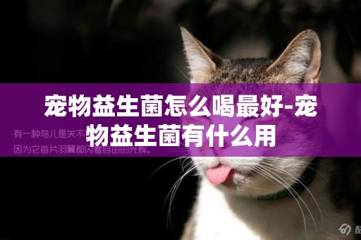 寵物益生菌怎么喝最好-寵物益生菌有什么用