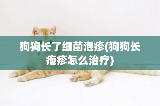狗狗長了細菌泡疹(狗狗長皰疹怎么治療)