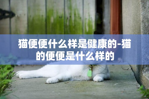 貓便便什么樣是健康的-貓的便便是什么樣的