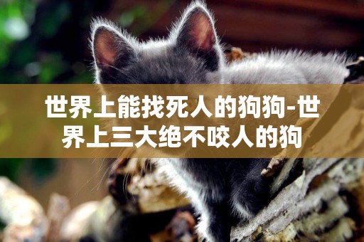 世界上能找死人的狗狗-世界上三大絕不咬人的狗