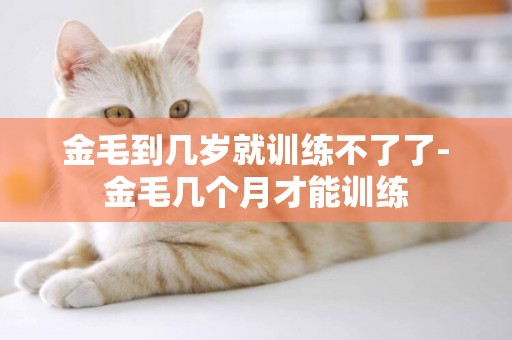 金毛到幾歲就訓練不了了-金毛幾個月才能訓練
