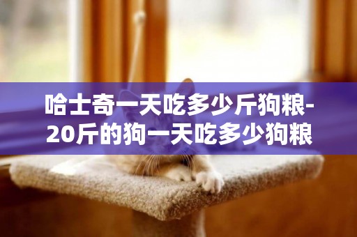 哈士奇一天吃多少斤狗糧-20斤的狗一天吃多少狗糧