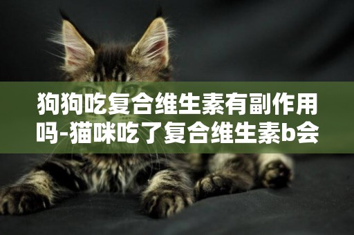 狗狗吃復合維生素有副作用嗎-貓咪吃了復合維生素b會死嗎