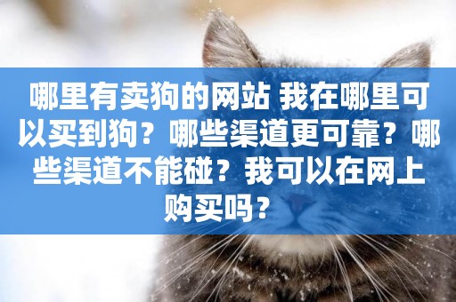 哪里有賣狗的網站 我在哪里可以買到狗？哪些渠道更可靠？哪些渠道不能碰？我可以在網上購買嗎？ 