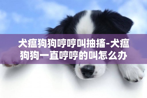 犬瘟狗狗哼哼叫抽搐-犬瘟狗狗一直哼哼的叫怎么辦