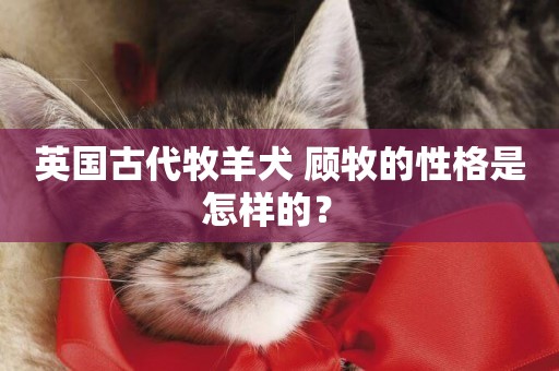 英國古代牧羊犬 顧牧的性格是怎樣的？ 