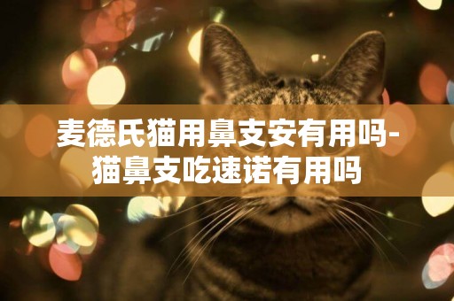 麥德氏貓用鼻支安有用嗎-貓鼻支吃速諾有用嗎