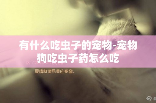 有什么吃蟲子的寵物-寵物狗吃蟲子藥怎么吃