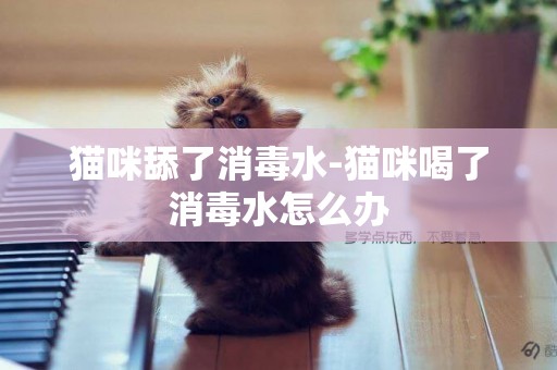 貓咪舔了消毒水-貓咪喝了消毒水怎么辦