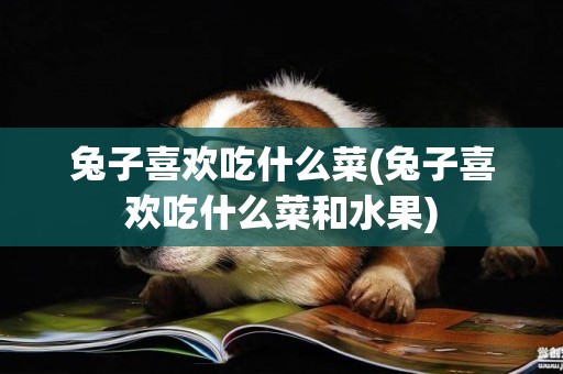 兔子喜歡吃什么菜(兔子喜歡吃什么菜和水果)