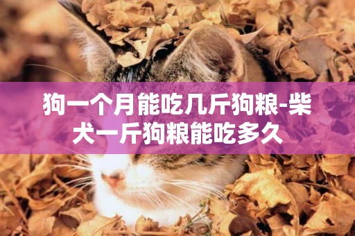 狗一個月能吃幾斤狗糧-柴犬一斤狗糧能吃多久