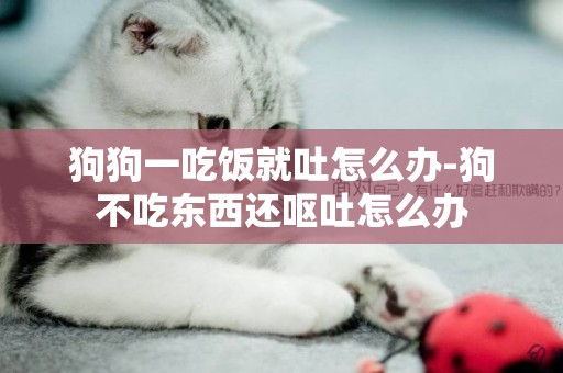 狗狗一吃飯就吐怎么辦-狗不吃東西還嘔吐怎么辦