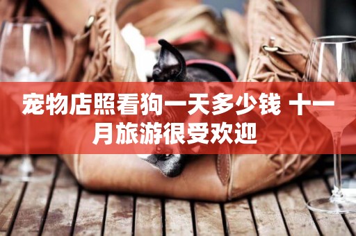 寵物店照看狗一天多少錢 十一月旅游很受歡迎 