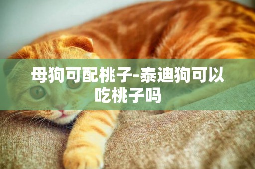 母狗可配桃子-泰迪狗可以吃桃子嗎