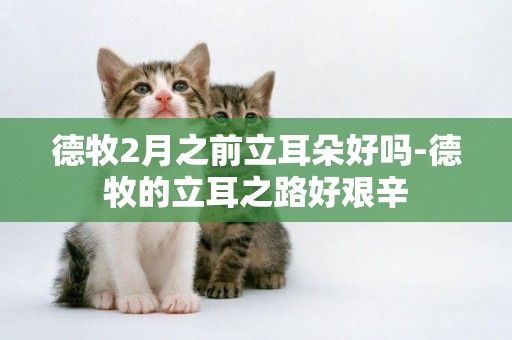 德牧2月之前立耳朵好嗎-德牧的立耳之路好艱辛