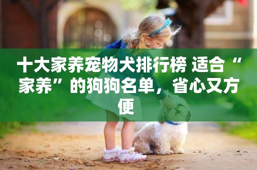 十大家養寵物犬排行榜 適合“家養”的狗狗名單，省心又方便 