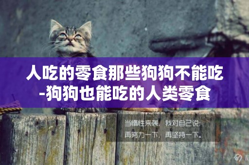 人吃的零食那些狗狗不能吃-狗狗也能吃的人類零食