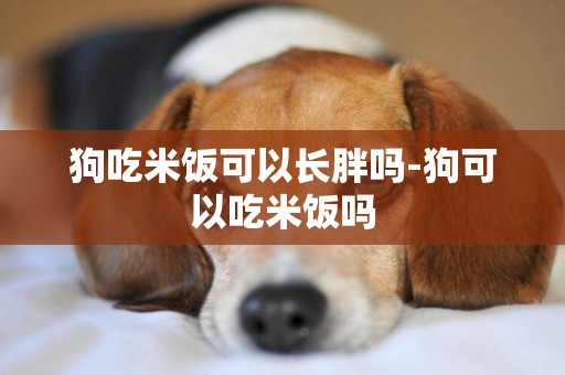 狗吃米飯可以長胖嗎-狗可以吃米飯嗎