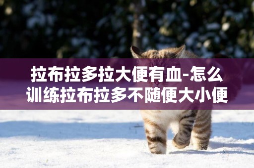 拉布拉多拉大便有血-怎么訓練拉布拉多不隨便大小便