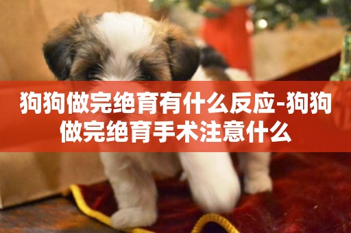 狗狗做完絕育有什么反應-狗狗做完絕育手術注意什么