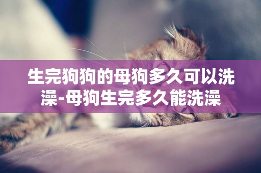 生完狗狗的母狗多久可以洗澡-母狗生完多久能洗澡