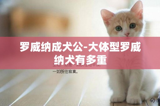 羅威納成犬公-大體型羅威納犬有多重