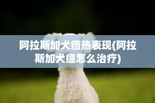 阿拉斯加犬瘟熱表現(阿拉斯加犬瘟怎么治療)