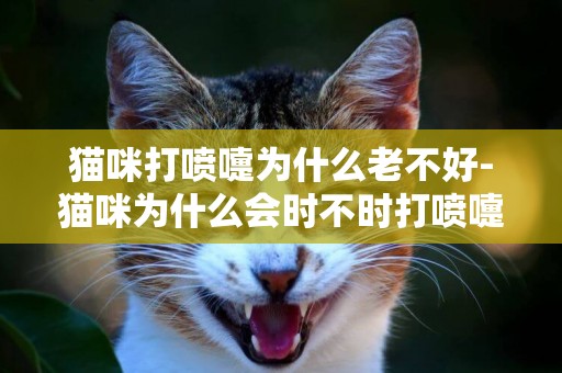 貓咪打噴嚏為什么老不好-貓咪為什么會時不時打噴嚏