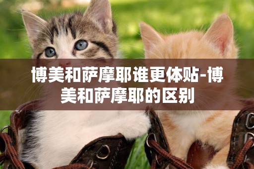博美和薩摩耶誰更體貼-博美和薩摩耶的區別