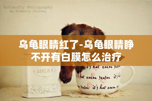烏龜眼睛紅了-烏龜眼睛睜不開有白膜怎么治療
