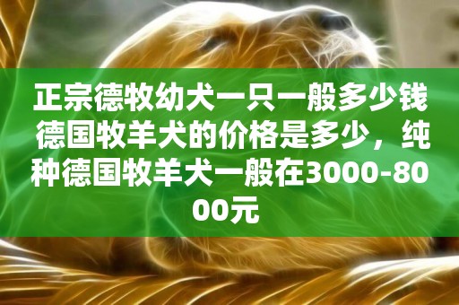 正宗德牧幼犬一只一般多少錢 德國牧羊犬的價格是多少，純種德國牧羊犬一般在3000-8000元 