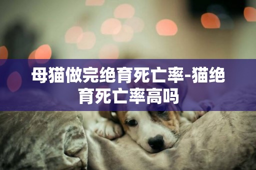 母貓做完絕育死亡率-貓絕育死亡率高嗎