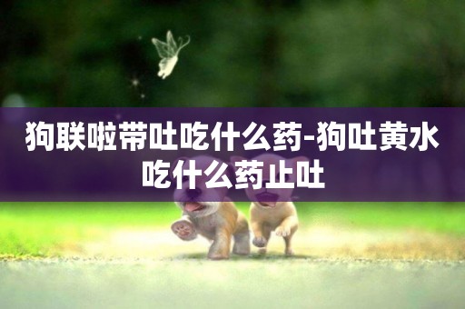 狗聯啦帶吐吃什么藥-狗吐黃水吃什么藥止吐