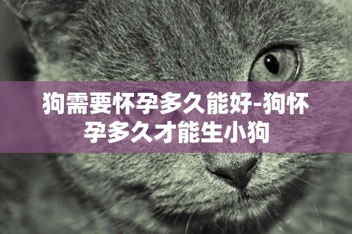 狗需要懷孕多久能好-狗懷孕多久才能生小狗