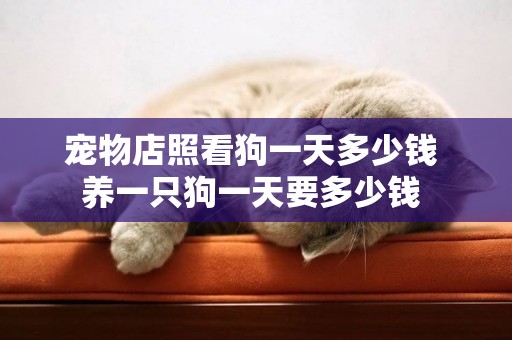 寵物店照看狗一天多少錢 養一只狗一天要多少錢 