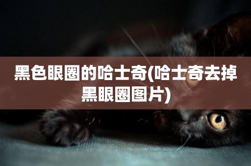 黑色眼圈的哈士奇(哈士奇去掉黑眼圈圖片)