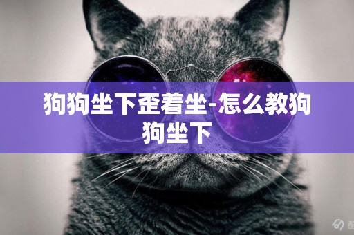 狗狗坐下歪著坐-怎么教狗狗坐下