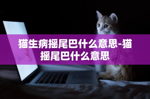 貓生病搖尾巴什么意思-貓搖尾巴什么意思