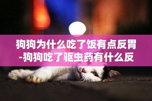 狗狗為什么吃了飯有點反胃-狗狗吃了驅蟲藥有什么反應
