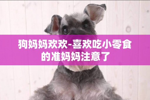 狗媽媽歡歡-喜歡吃小零食的準媽媽注意了