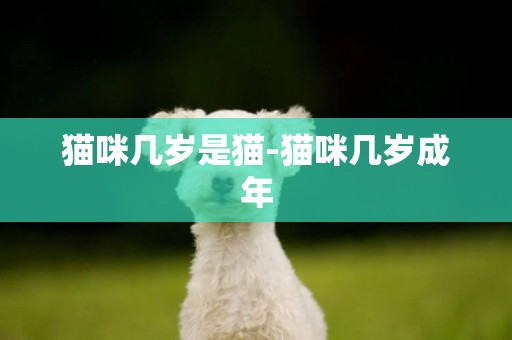 貓咪幾歲是貓-貓咪幾歲成年