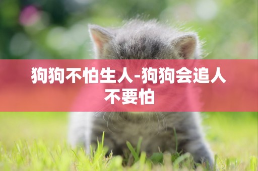 狗狗不怕生人-狗狗會追人不要怕