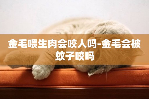 金毛喂生肉會咬人嗎-金毛會被蚊子咬嗎