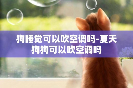 狗睡覺可以吹空調嗎-夏天狗狗可以吹空調嗎