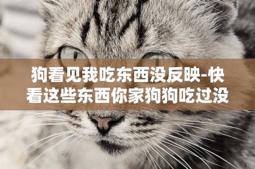狗看見我吃東西沒反映-快看這些東西你家狗狗吃過沒