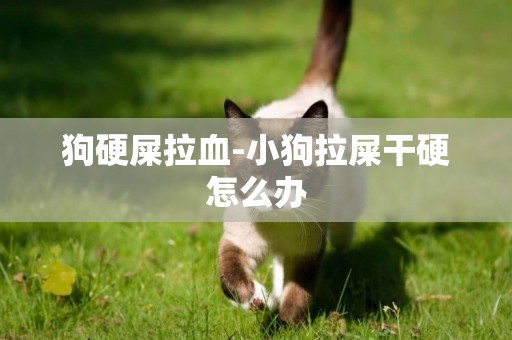 狗硬屎拉血-小狗拉屎干硬怎么辦